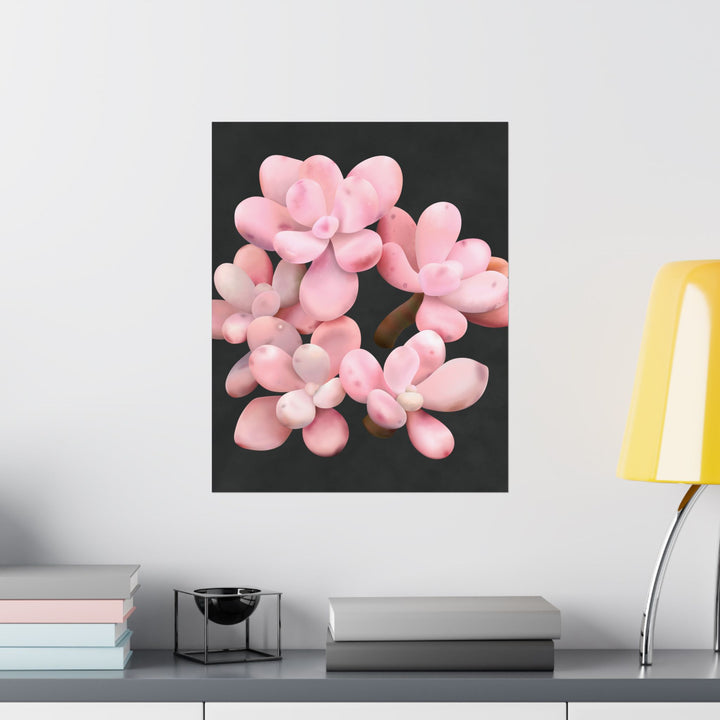 Pink Moonstone Botanical Print – Unframed Wall Art
