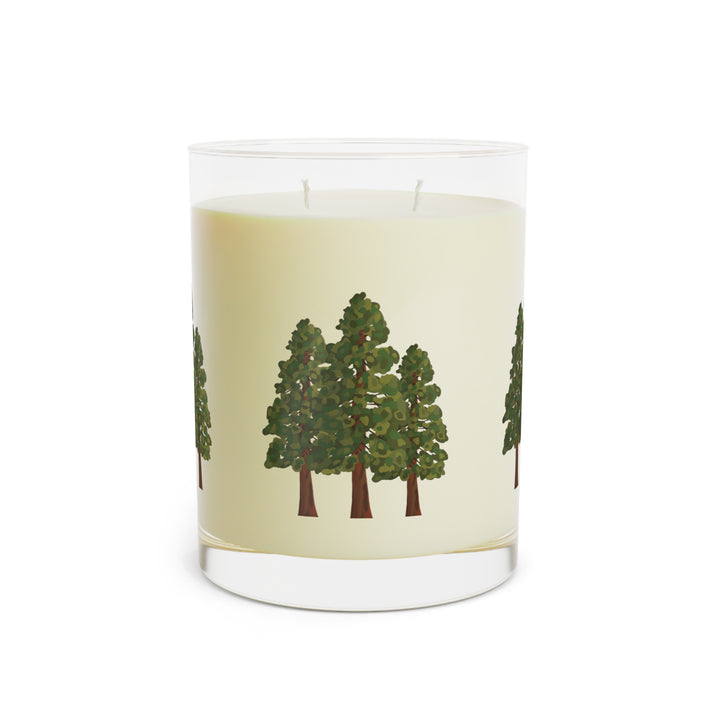 Coastal Redwoods Scented Candle 11 Oz White Tea Fig Minted Lavender Sage Ocean Mist Moss