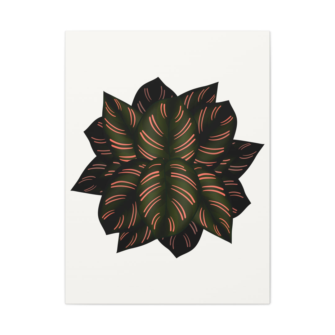 Calathea Pinstripe Canvas Botanical Wall Art Print On Stretched Cotton Canvas For Living Room Decor
