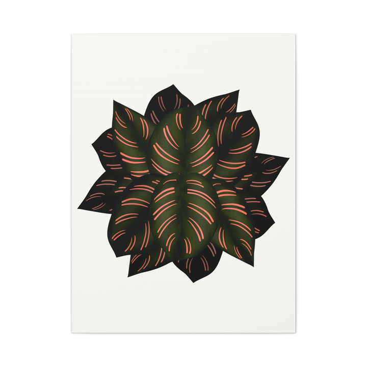 Calathea Pinstripe Canvas Botanical Wall Art Print On Stretched Cotton Canvas For Living Room Decor