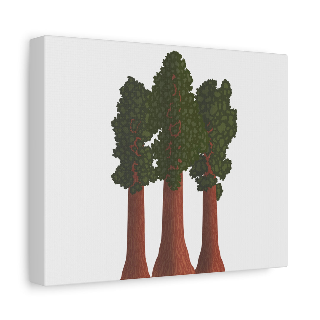 Giant Sequoias Canvas Print – Wall Art
