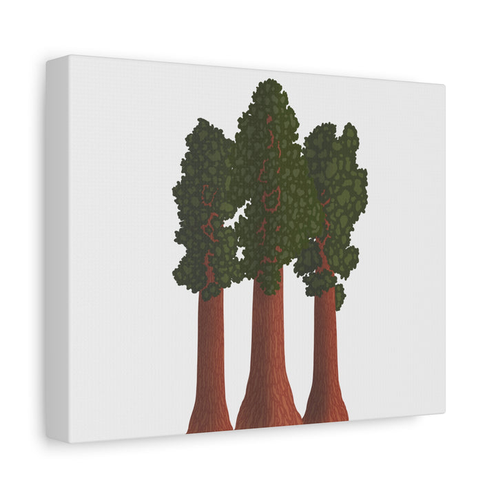Giant Sequoias Canvas Print – Wall Art