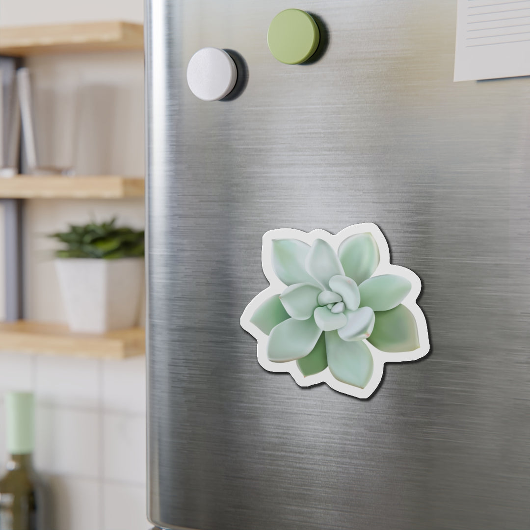 Pachyveria Haagei Succulent Magnet