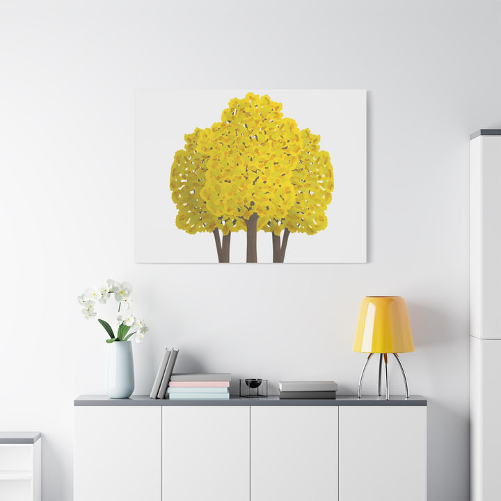 Big Leaf Maple Canvas Print – Wall Art