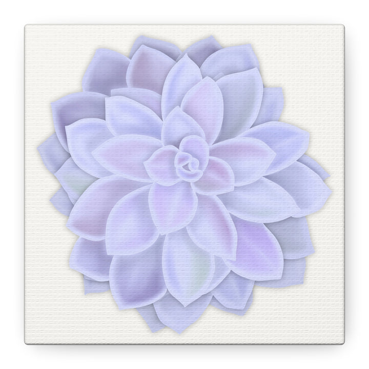 Succulent Canvas Art Pastel Rosette Canvas Durable Cotton Print Botanical Wall Art