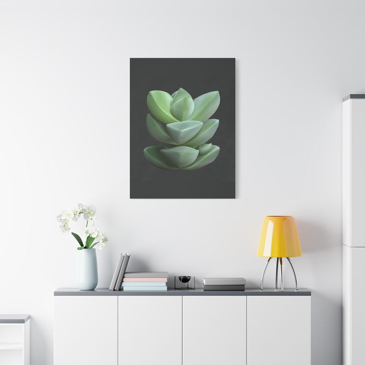 Crassula Canvas Print – Botanical Wall Art