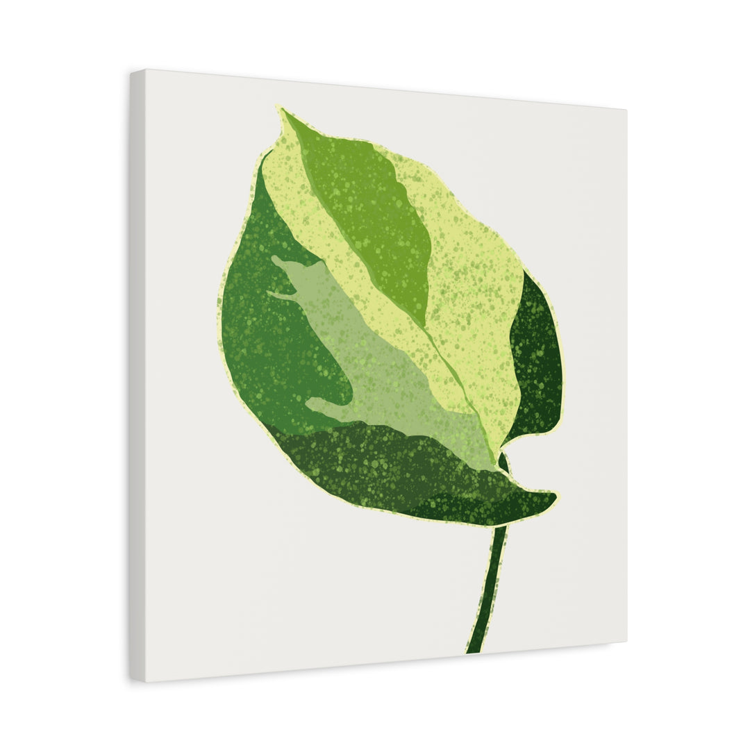Manjula Pothos Botanical Canvas Print Matte Finish Stretched Canvas Wall Art 1.25 Inch Depth