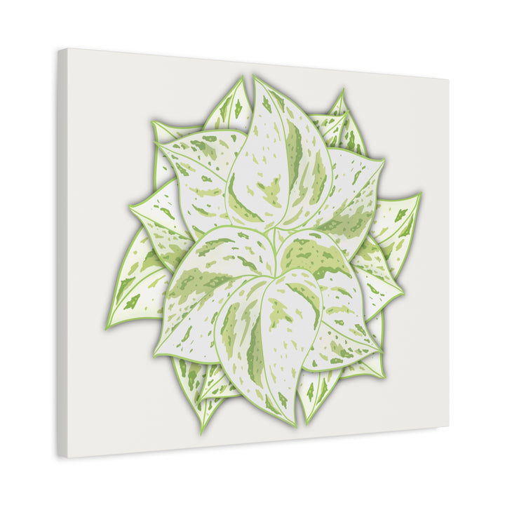 Snow Queen Pothos Canvas Wall Art Variegated Indoor Plant Leaf Poster Print Cotton Canvas