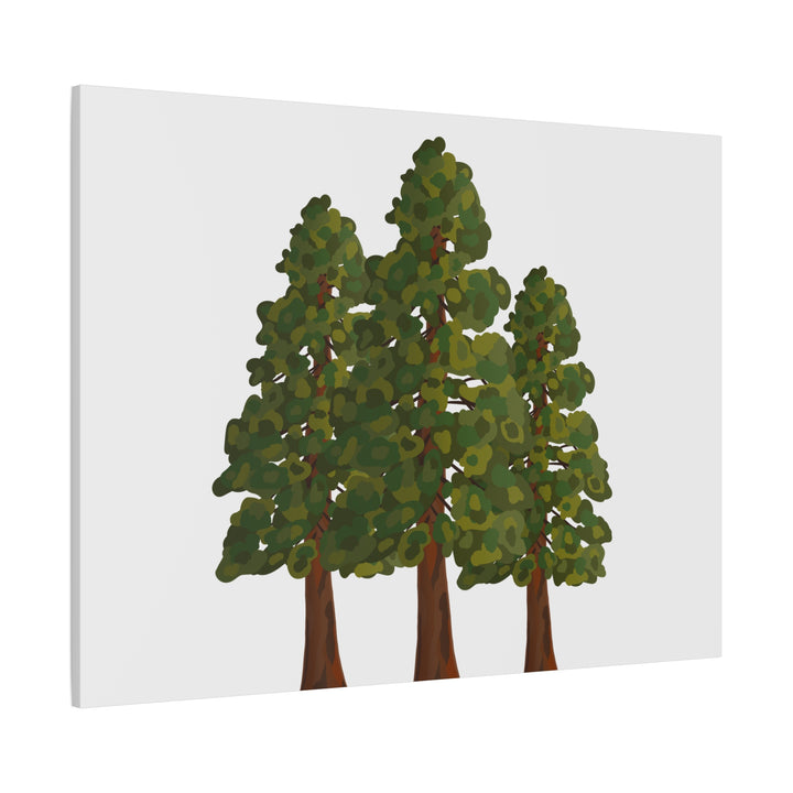 Coastal Redwoods Matte Canvas Print On 1.25 Inch Stretched Canvas For Serene Forest Wall Art In Living Rooms