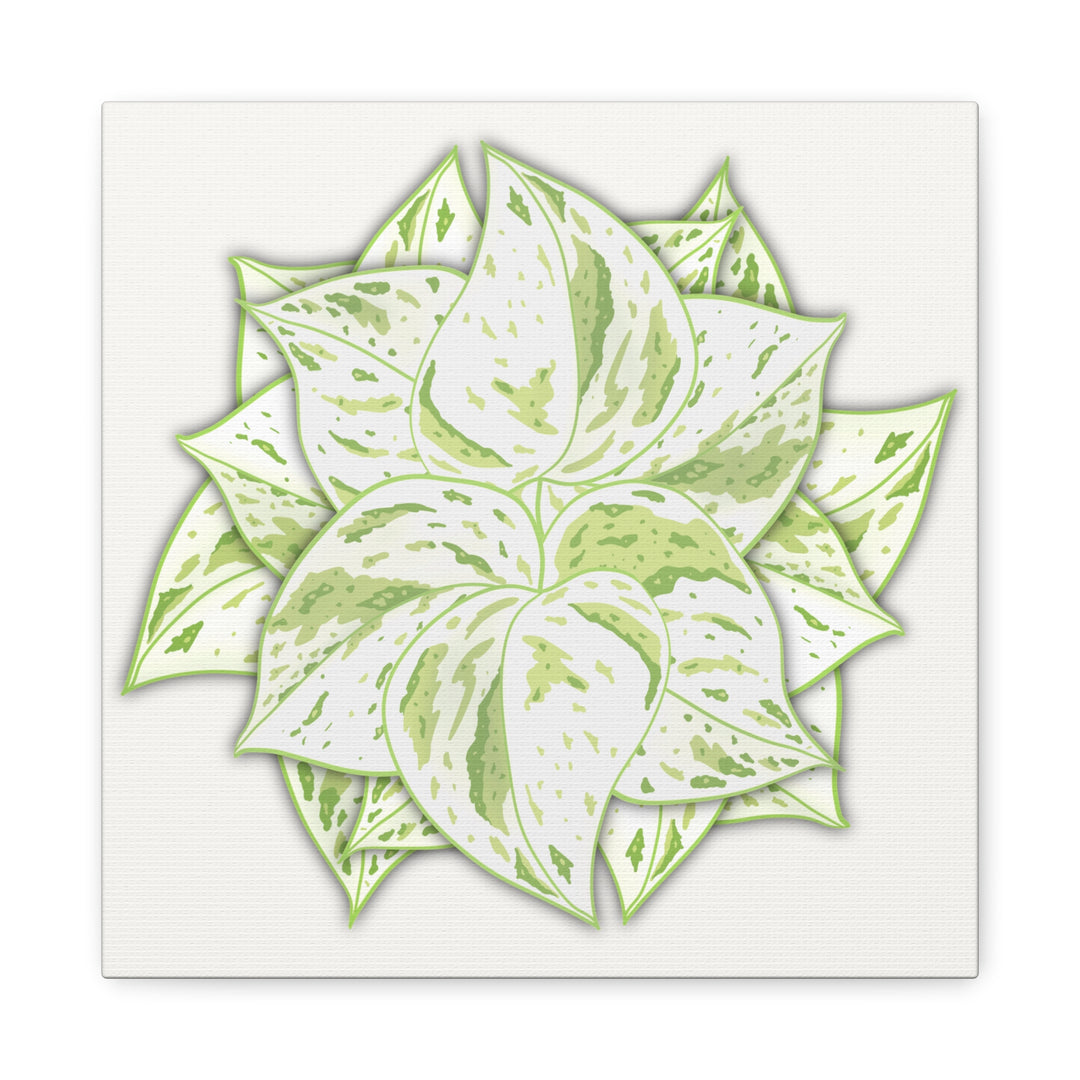 Snow Queen Pothos Canvas Wall Art Variegated Indoor Plant Leaf Poster Print Cotton Canvas