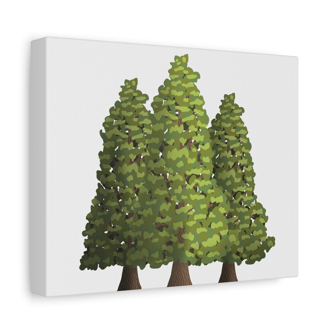 Incense Cedar Canvas Print – Wall Art