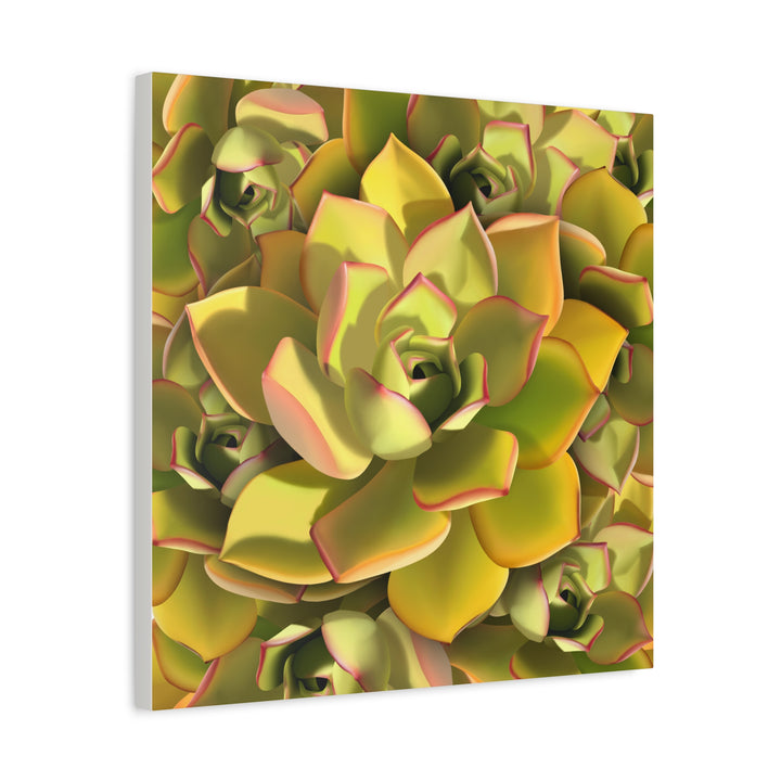 Succulent Canvas Art Vibrant Aeonium Print On Matte Canvas Wall Decor 12x18 Inches Indoor Home