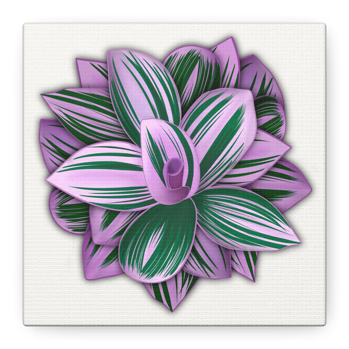 Tradescantia Nanouk Canvas Botanical Wall Art Print Pink Green Foliage On Stretched Cotton Canvas