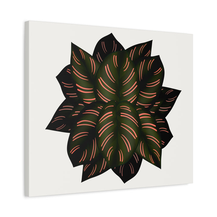 Calathea Pinstripe Canvas Botanical Wall Art Print On Stretched Cotton Canvas For Living Room Decor