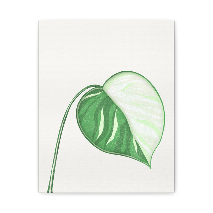 Monstera Albo Canvas Large Stretched Premium Quality Cotton Canvas Wall Art Tropical Leaf Poster Decor