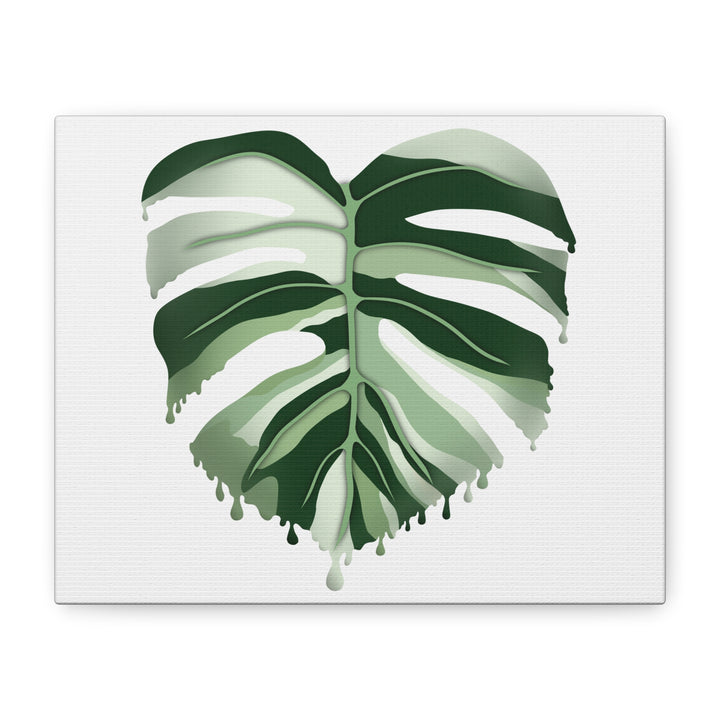 Melting Monstera Albo Canvas Large Indoor Wall Art Print Matte Finish Tropical Home Decor