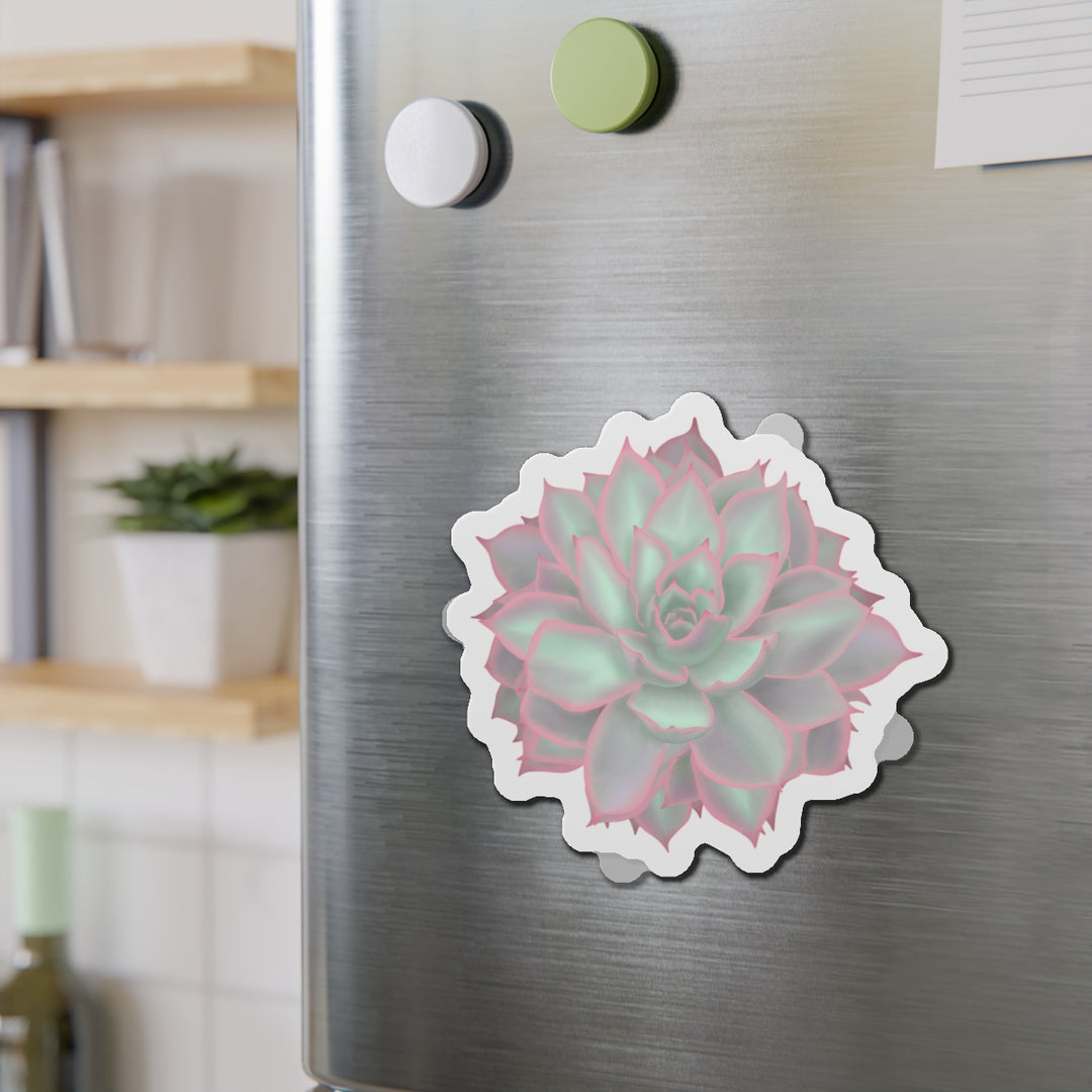 Echeveria Violet Queen Succulent Magnet