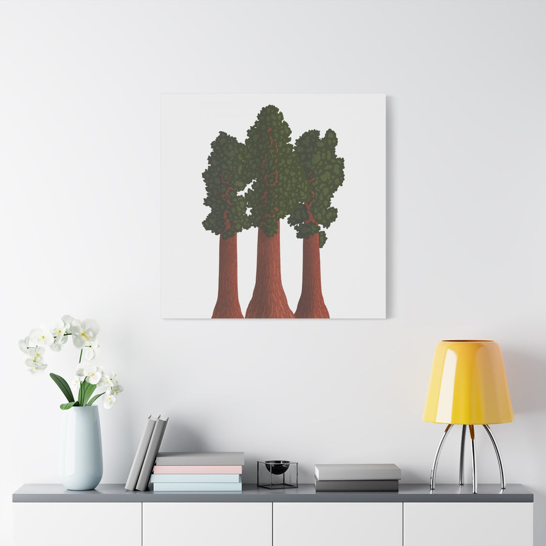 Giant Sequoias Canvas Print – Wall Art