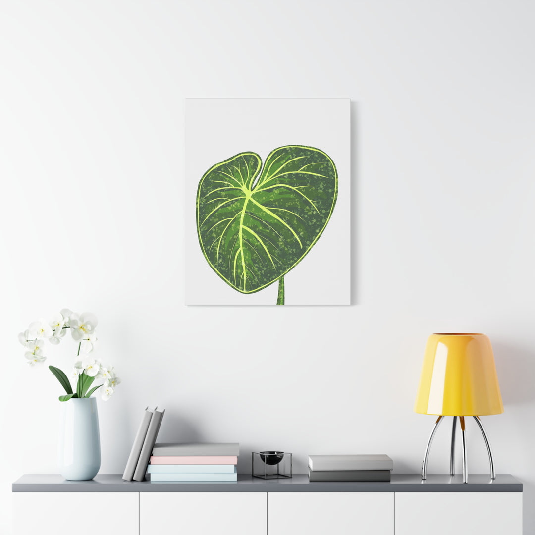 Philodendron Gloriosum Canvas Print Stretched Wall Art Botanical Leaf Print Matte Finish Gallery Wrapped Canvas