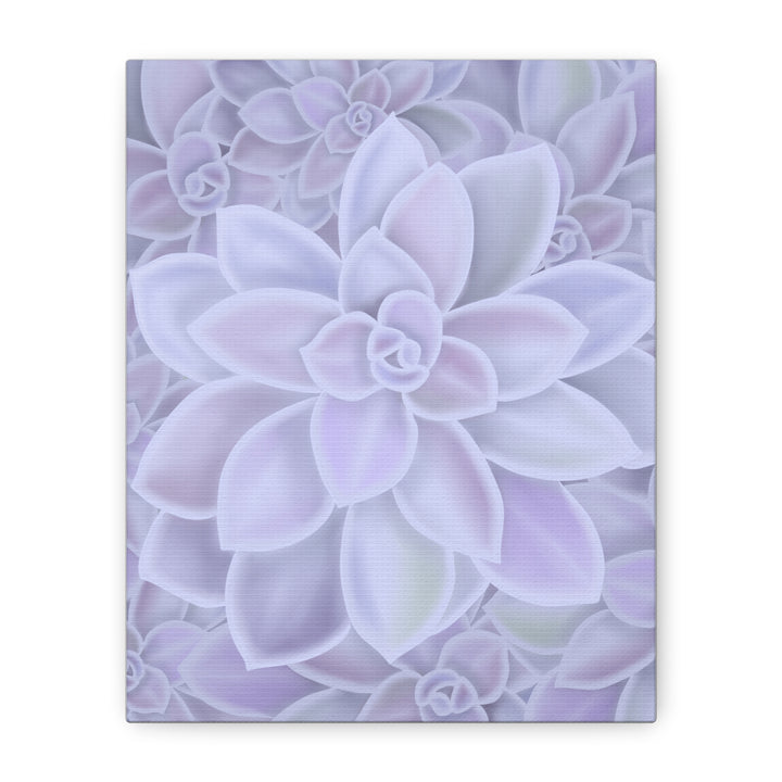 Graptopetalum Murasaki Succulent Canvas Art Print Pastel Purple Rosette Indoor Plant Decor