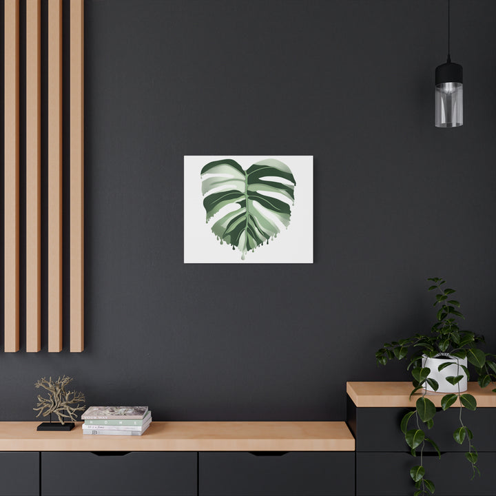 Melting Monstera Albo Canvas Large Indoor Wall Art Print Matte Finish Tropical Home Decor