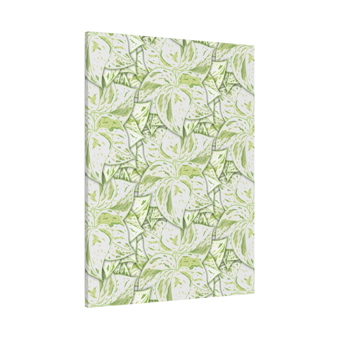 Snow Queen Pothos Canvas Print With Variegated White Leaves In Matte Finish For Modern Home Decor