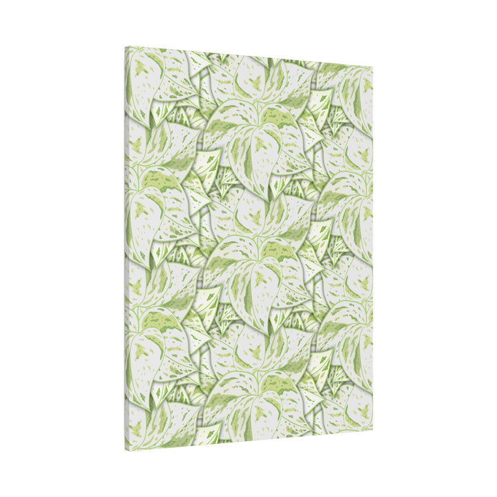 Snow Queen Pothos Canvas Print With Variegated White Leaves In Matte Finish For Modern Home Decor
