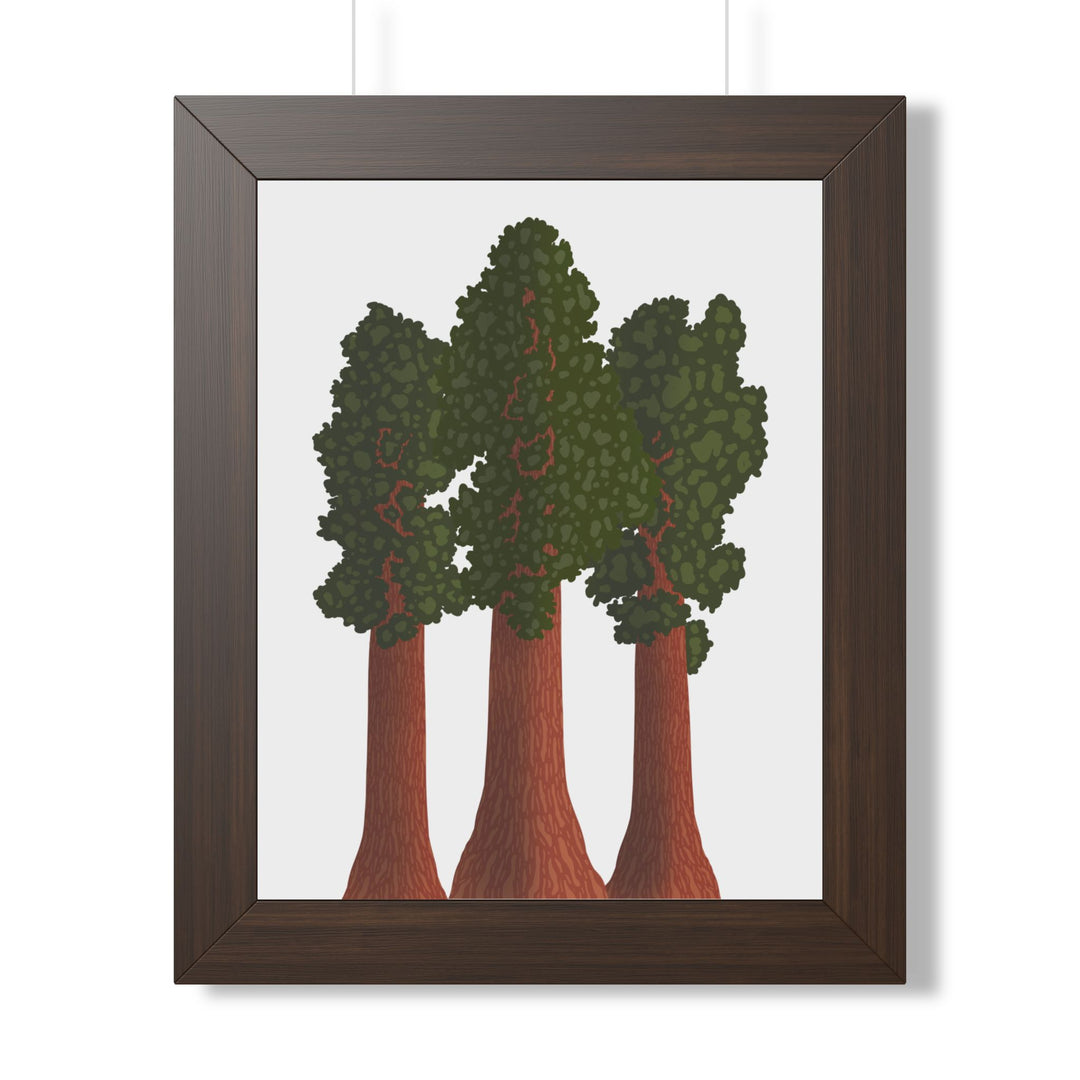 Giant Sequoias Framed Print – Wall Art