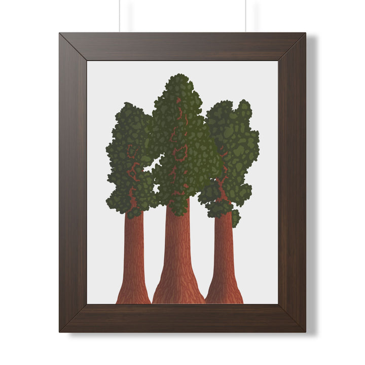Giant Sequoias Framed Print – Wall Art