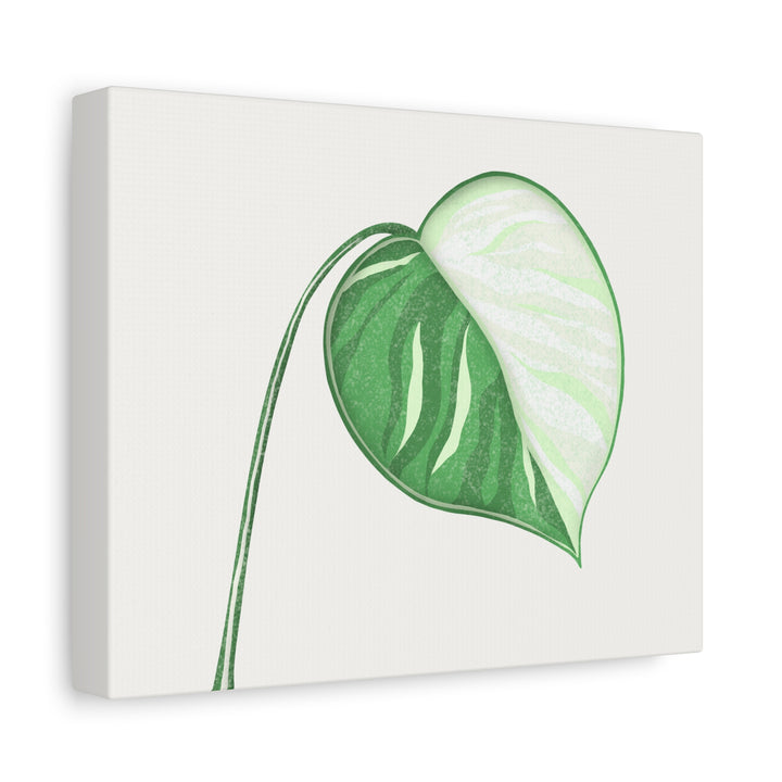 Monstera Albo Canvas Large Stretched Premium Quality Cotton Canvas Wall Art Tropical Leaf Poster Decor