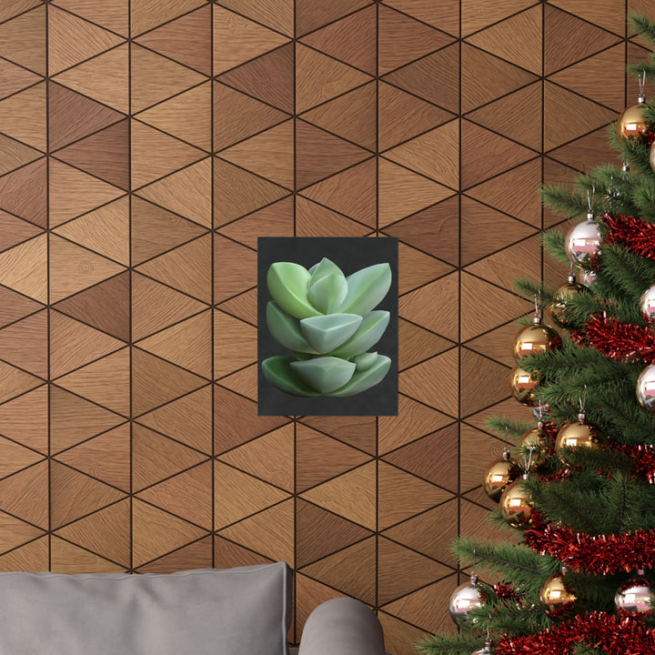Crassula Botanical Print – Unframed Wall Art