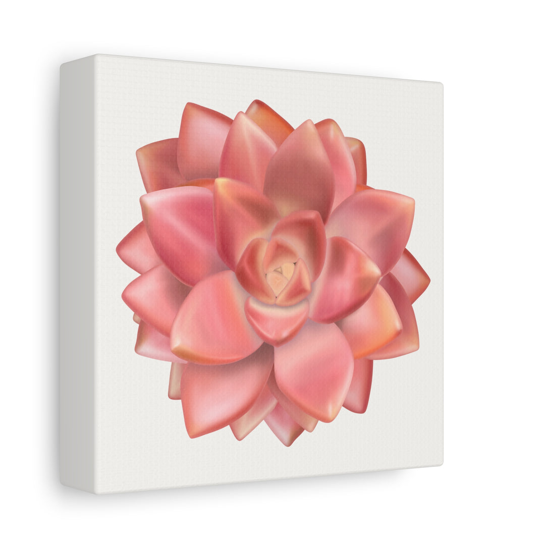 Succulent Canvas Art California Sunset Rosette Botanical Wall Art Print The Potted Pixel