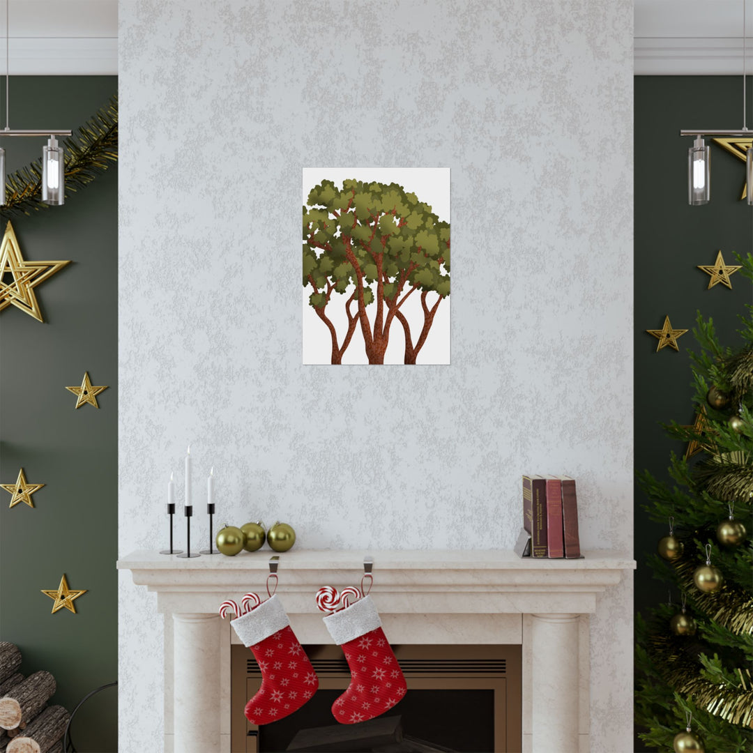 Pacific Madrone Print – Unframed Wall Art