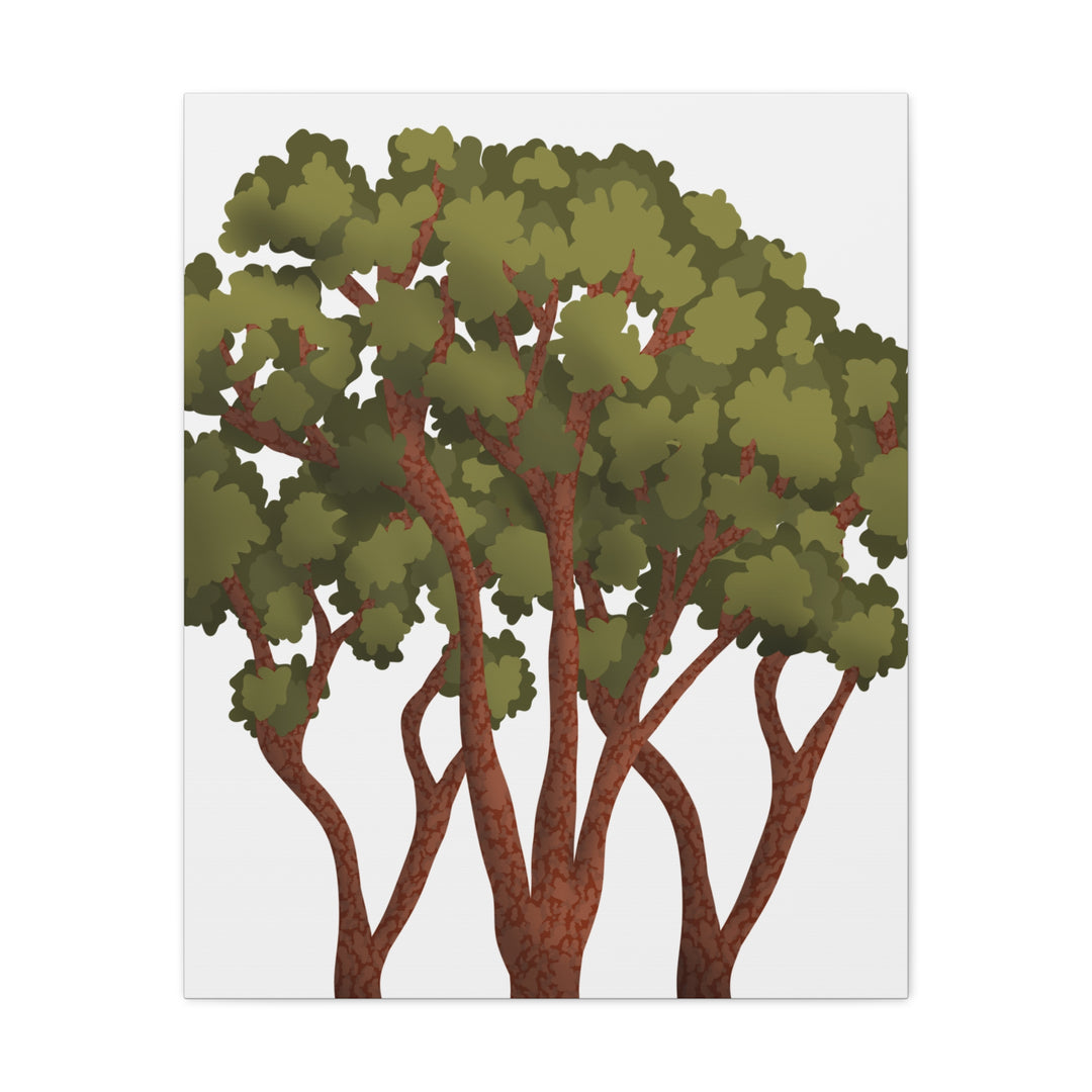 Pacific Madrone Canvas Print – Wall Art