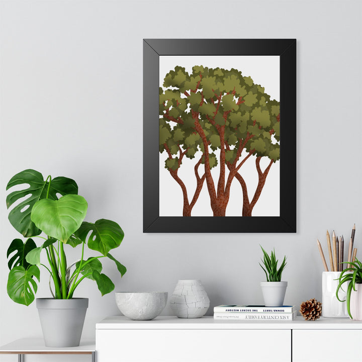 Pacific Madrone Framed Print – Wall Art