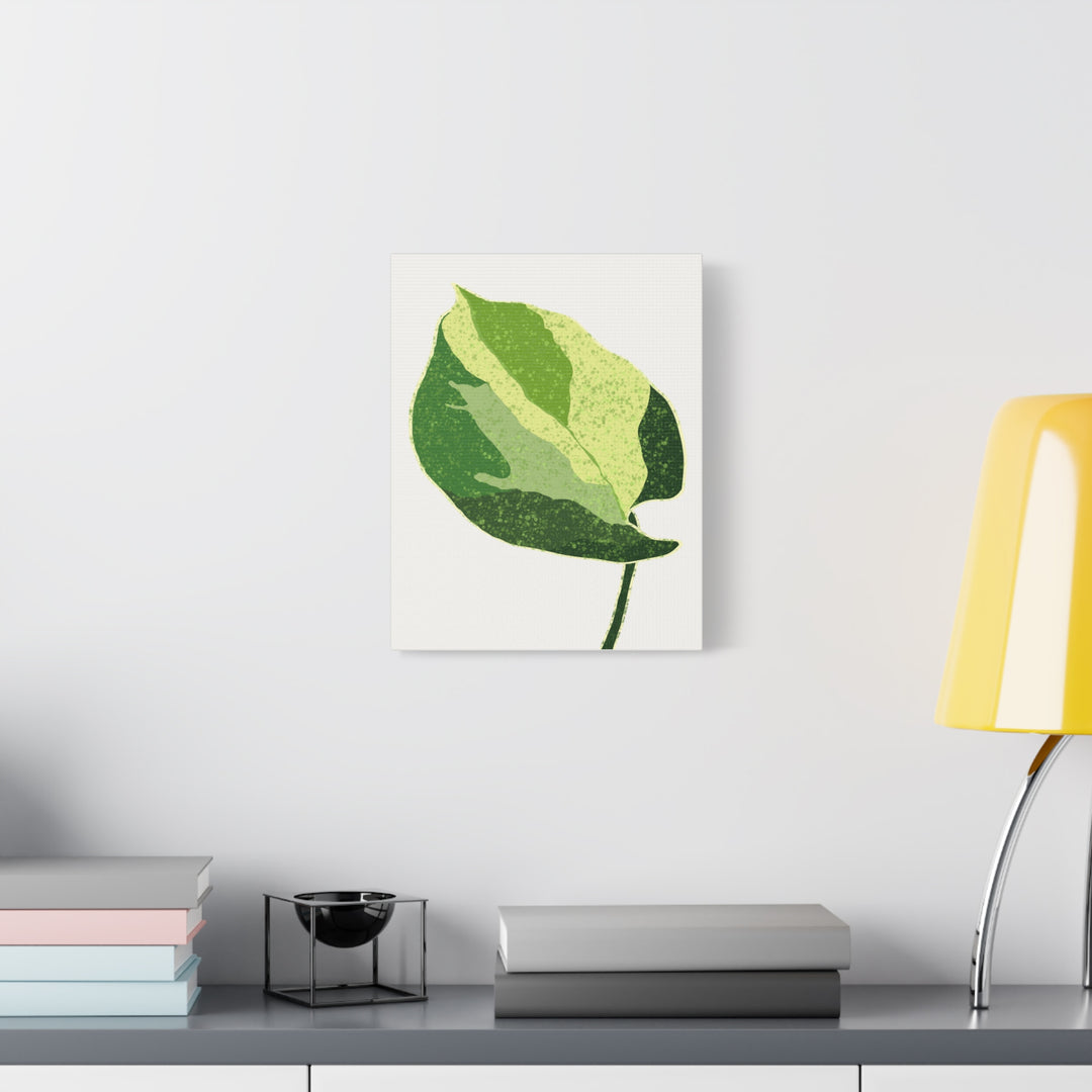 Manjula Pothos Botanical Canvas Print Matte Finish Stretched Canvas Wall Art 1.25 Inch Depth