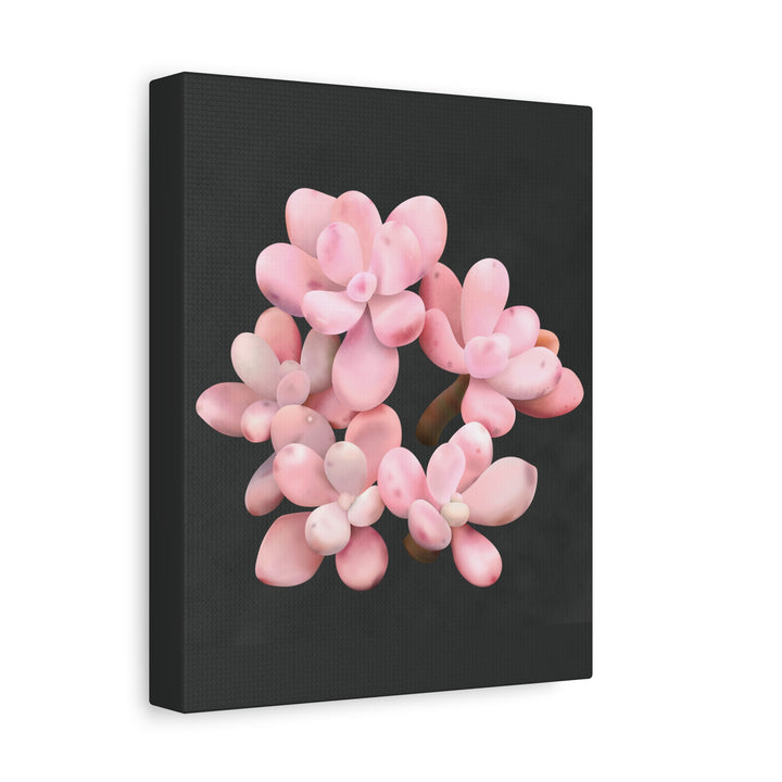 Pink Moonstone Canvas Print – Botanical Wall Art