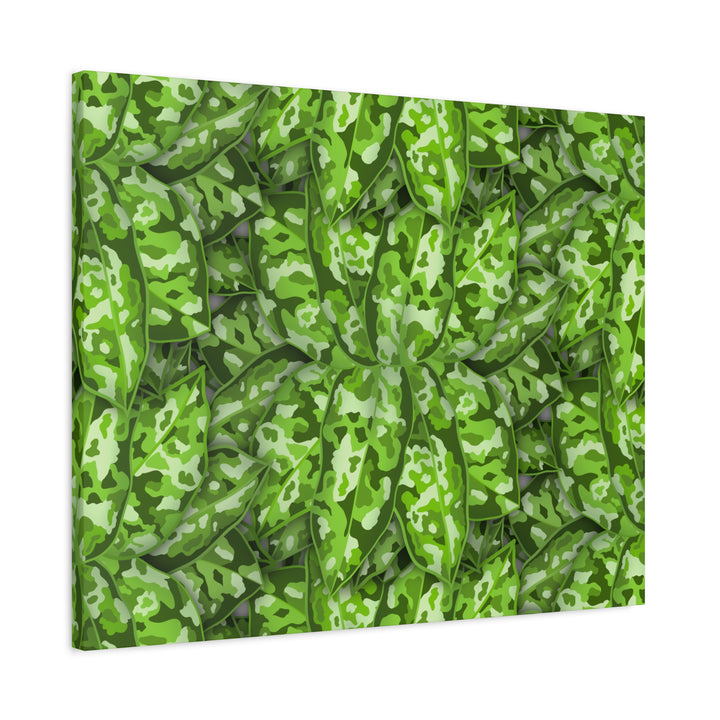 Aglaonema Pictum Canvas Wall Art Rare Plant Print Matte Finish For Modern Home Decor