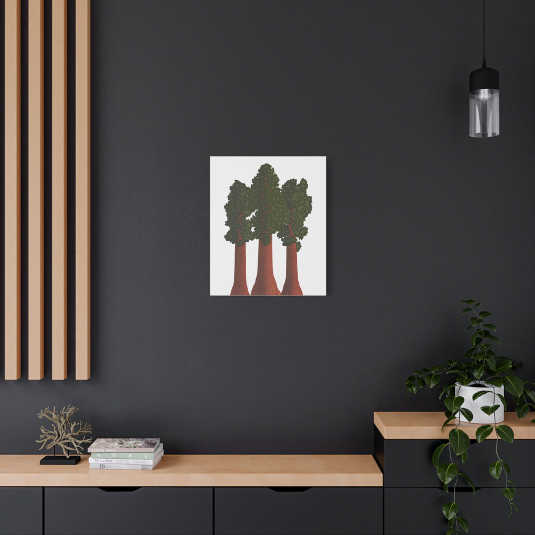 Giant Sequoias Canvas Print – Wall Art