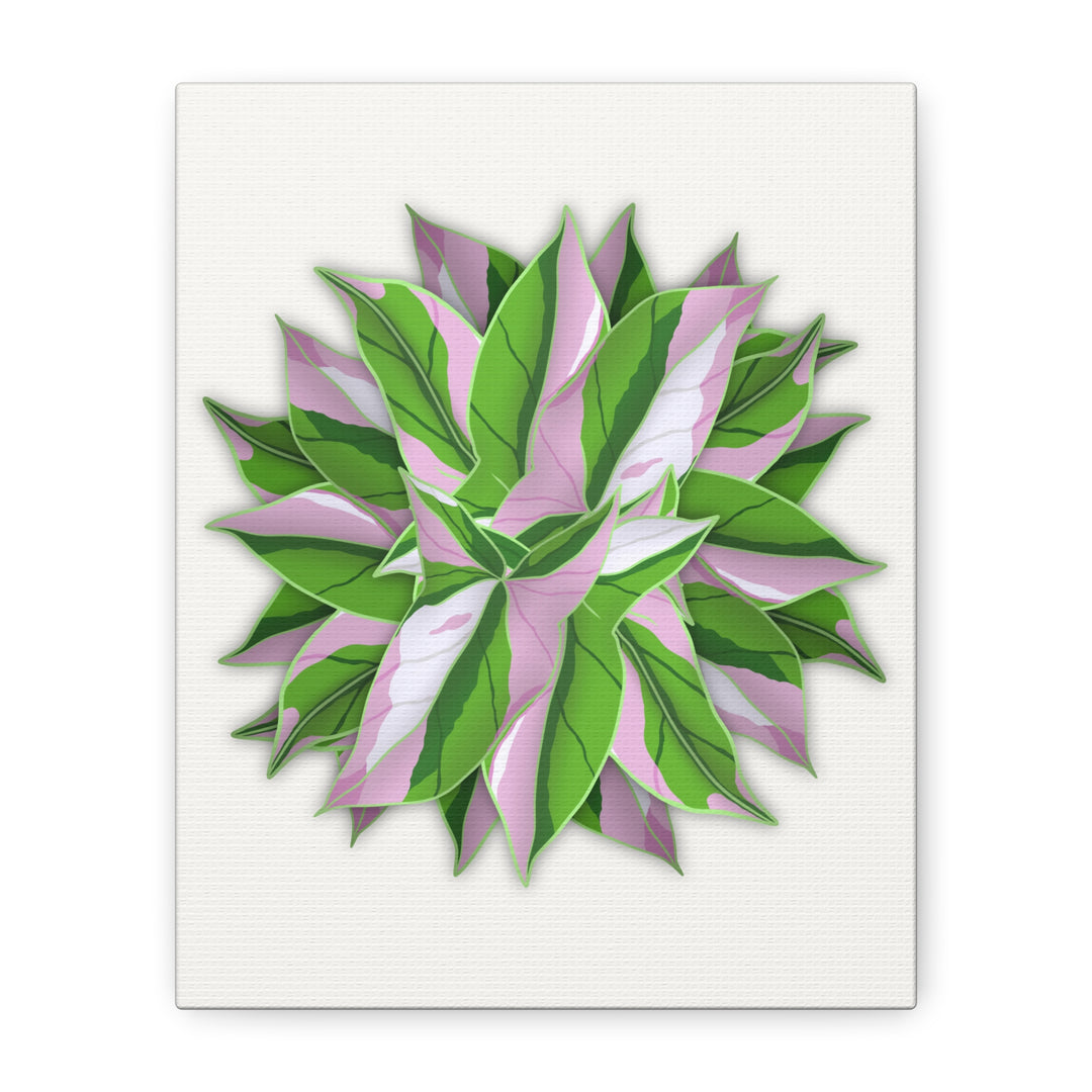 Syngonium Tricolor Canvas Print – Botanical Wall Art - The Potted Pixel