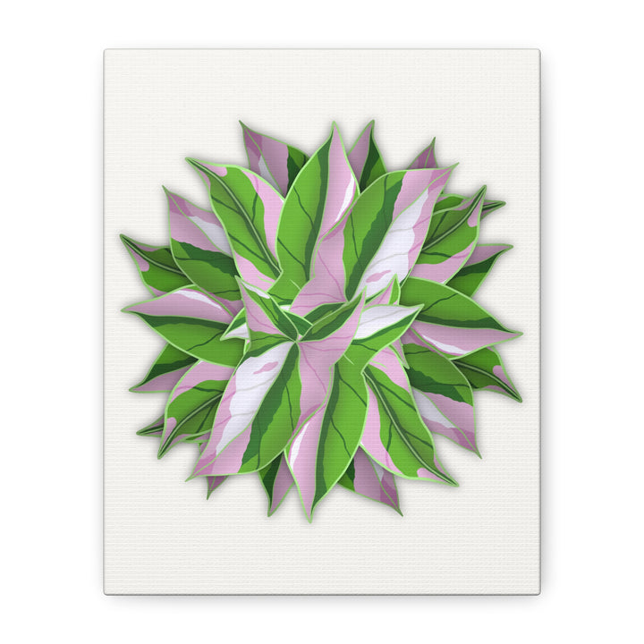 Syngonium Tricolor Canvas Print – Botanical Wall Art - The Potted Pixel