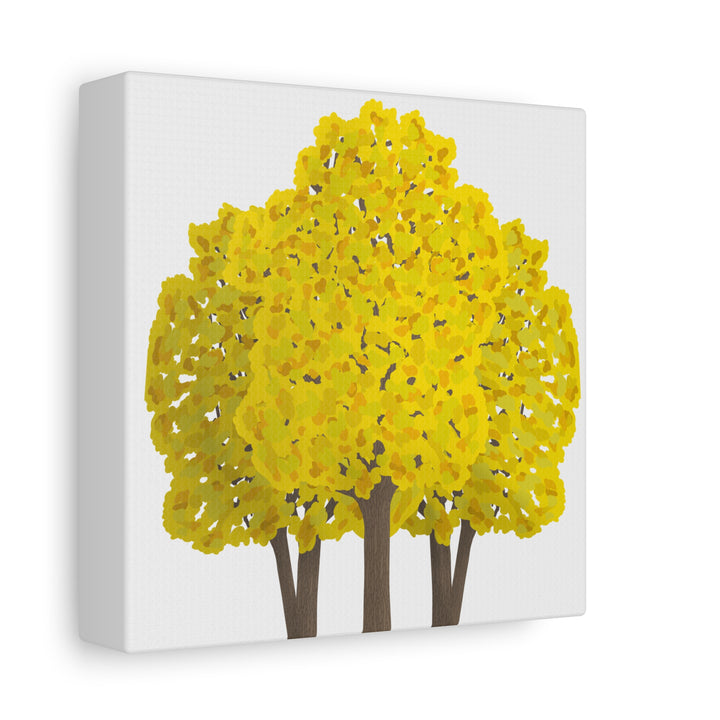 Big Leaf Maple Canvas Print – Wall Art