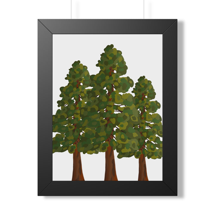 Coastal Redwood Framed Print – Wall Art