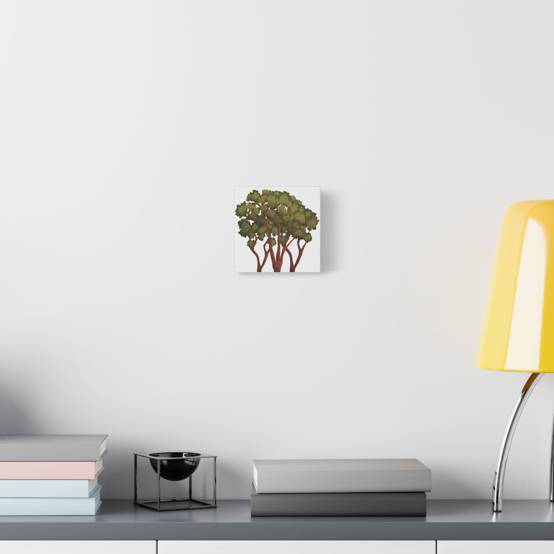 Pacific Madrone Canvas Print – Wall Art