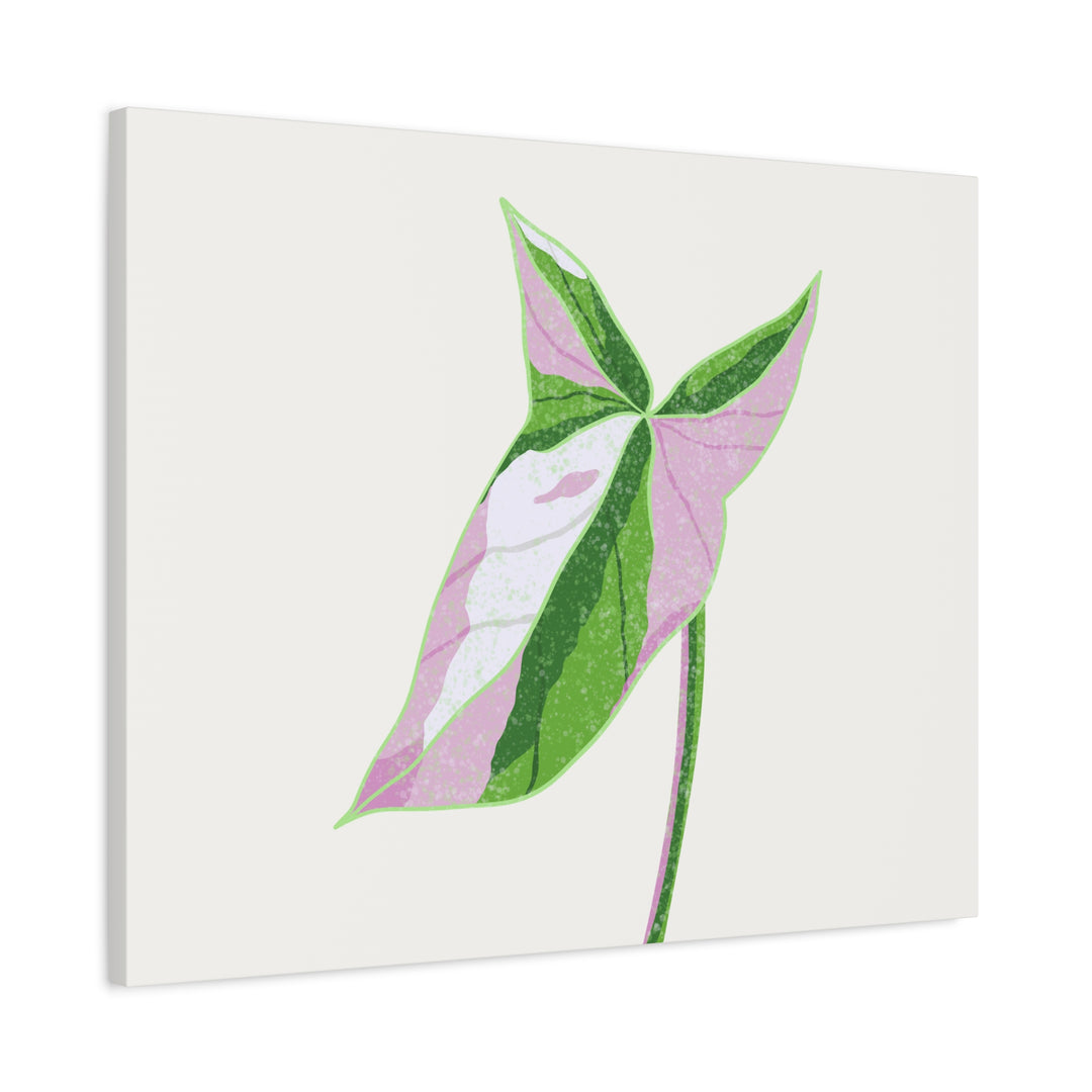 Syngonium Tricolor Canvas Print – Botanical Wall Art - The Potted Pixel