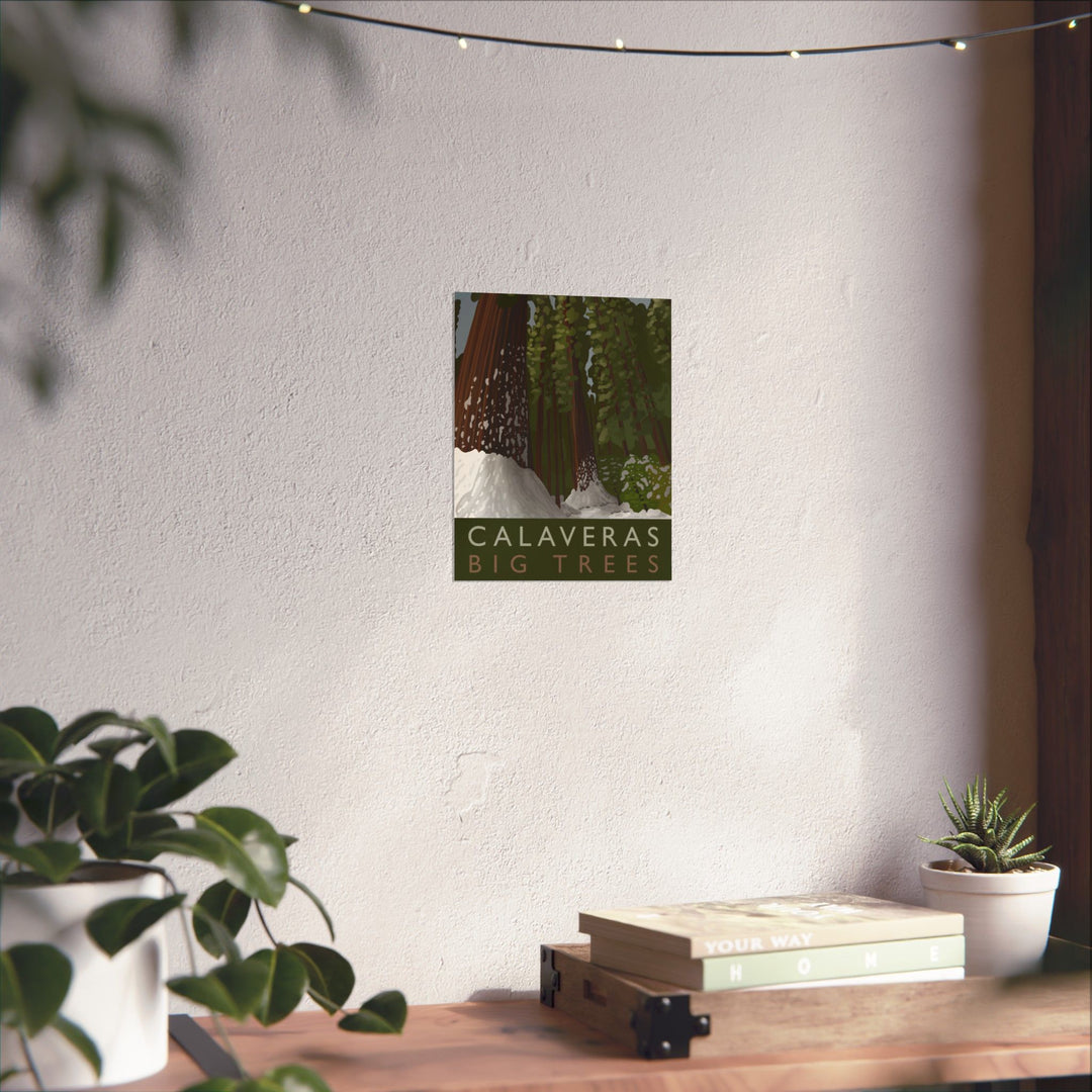 Calaveras Big Trees Print – Unframed Wall Art