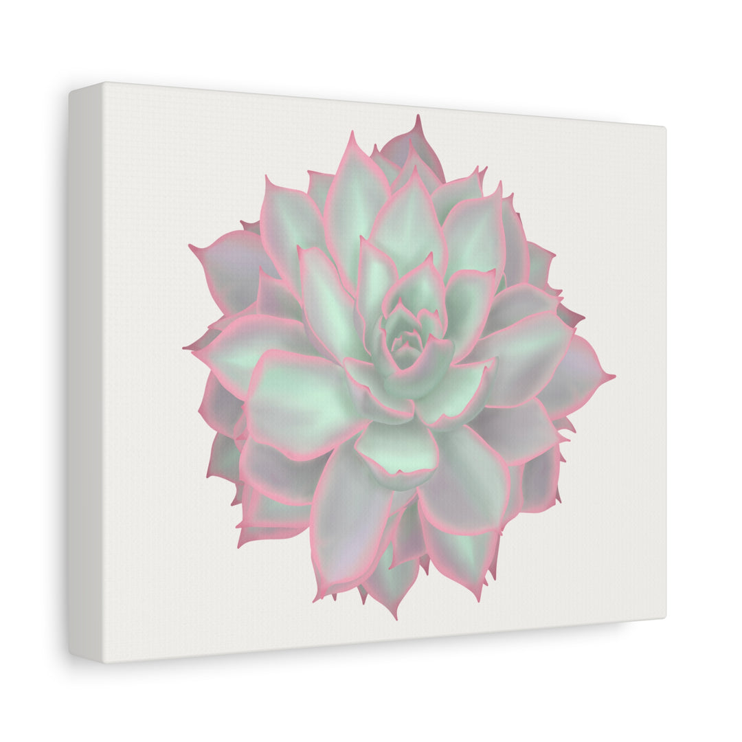 Echeveria Violet Queen Canvas Wall Art Rosette Succulent Print With Matte Finish