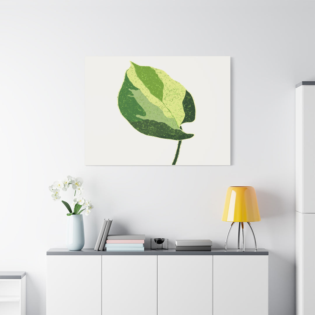 Manjula Pothos Botanical Canvas Print Matte Finish Stretched Canvas Wall Art 1.25 Inch Depth
