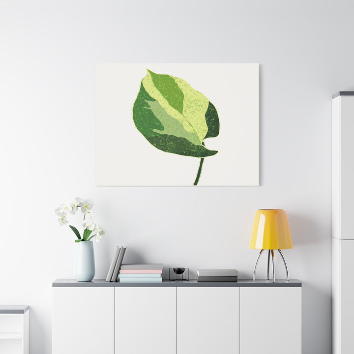 Manjula Pothos Botanical Canvas Print Matte Finish Stretched Canvas Wall Art 1.25 Inch Depth
