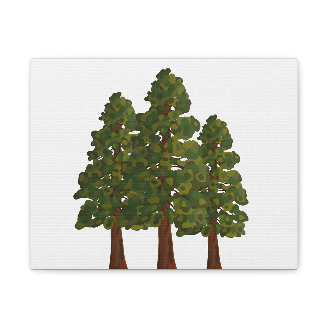 Coastal Redwoods Matte Canvas Print On 1.25 Inch Stretched Canvas For Serene Forest Wall Art In Living Rooms
